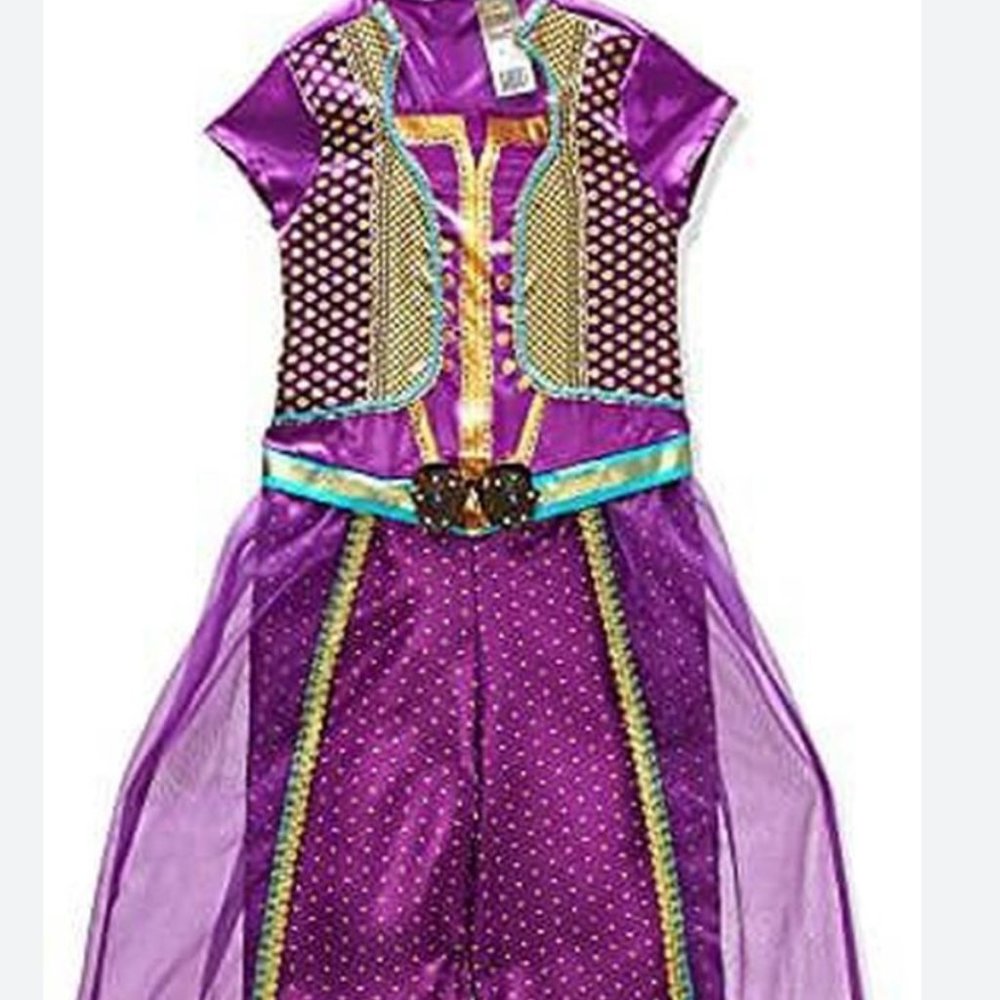 Disney Aladdin Jasmine Costume Outfit